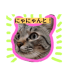 ミーモンスタンプ2（個別スタンプ：1）