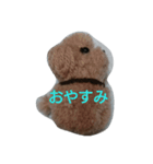 ポンポン  ポン（個別スタンプ：5）