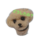 ポンポン  ポン（個別スタンプ：7）