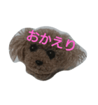 ポンポン  ポン（個別スタンプ：8）