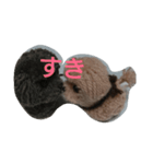 ポンポン  ポン（個別スタンプ：9）