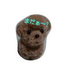 ポンポン  ポン（個別スタンプ：12）