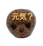 ポンポン  ポン（個別スタンプ：13）