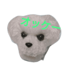 ポンポン  ポン（個別スタンプ：14）