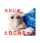 フレンチブルドッグのgoと申します。（個別スタンプ：3）