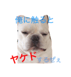 フレンチブルドッグのgoと申します。（個別スタンプ：4）