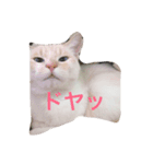 ニャンコの日常♥️（個別スタンプ：7）