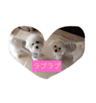 ちび太とまる（個別スタンプ：2）
