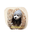 ちび太とまる（個別スタンプ：4）