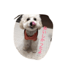 ちび太とまる（個別スタンプ：6）