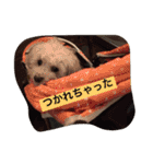 ちび太とまる（個別スタンプ：11）
