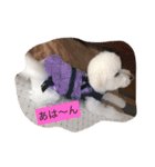 ちび太とまる（個別スタンプ：16）