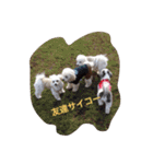 ちび太とまる（個別スタンプ：17）