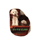 ちび太とまる（個別スタンプ：22）