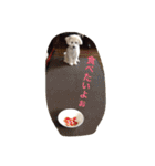 ちび太とまる（個別スタンプ：24）