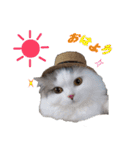 ばしさんちのチャッピー（個別スタンプ：6）