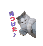 ばしさんちのチャッピー（個別スタンプ：17）