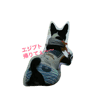 エジプト犬バセンジー（個別スタンプ：1）