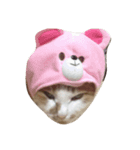 さばおとこてつ（個別スタンプ：1）