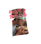 すがやんスタンプ 01（個別スタンプ：7）