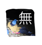 すがやんスタンプ 01（個別スタンプ：12）