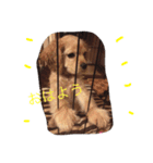 Lady lady stamp（個別スタンプ：8）
