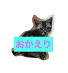 船ハウス（個別スタンプ：1）