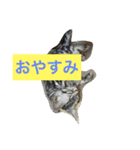 船ハウス（個別スタンプ：2）