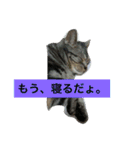 船ハウス（個別スタンプ：3）