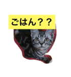 船ハウス（個別スタンプ：5）