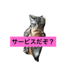 船ハウス（個別スタンプ：7）