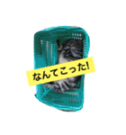 船ハウス（個別スタンプ：8）