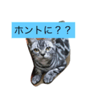 船ハウス（個別スタンプ：10）