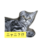 船ハウス（個別スタンプ：11）