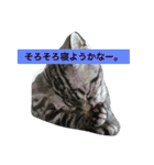 船ハウス（個別スタンプ：16）