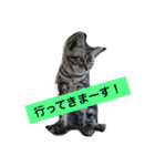 船ハウス（個別スタンプ：18）