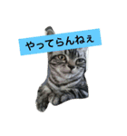 船ハウス（個別スタンプ：20）