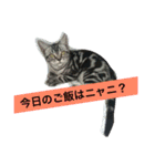 船ハウス（個別スタンプ：21）