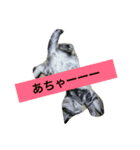 船ハウス（個別スタンプ：24）