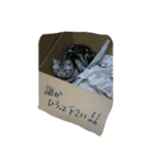 船ハウス（個別スタンプ：29）