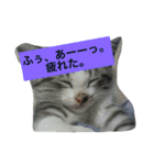 船ハウス（個別スタンプ：31）