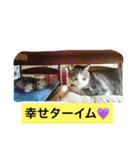 船ハウス（個別スタンプ：33）