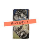船ハウス（個別スタンプ：34）