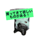 船ハウス（個別スタンプ：35）