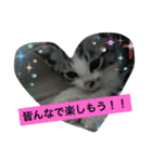 船ハウス（個別スタンプ：39）