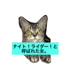 船ハウス（個別スタンプ：40）