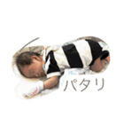 まりさ3（個別スタンプ：11）