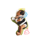 まりさ3（個別スタンプ：14）