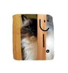 まりさ3（個別スタンプ：22）