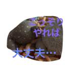 アパーキーとチビクマ（個別スタンプ：7）